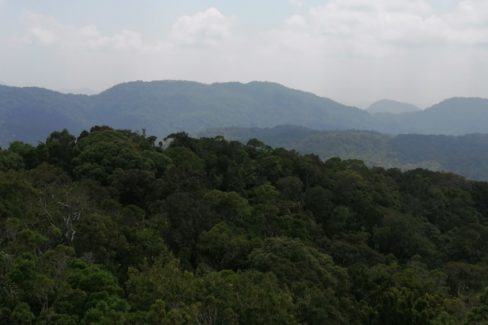 My First Time to Sinharaja Rainforest in Sri Lanka