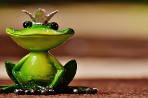 Frogs in the Well & Kings of Castles