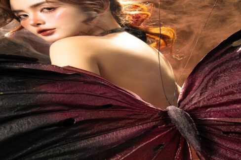 Metamorphosis – It’s Time To Shine Elsewhere