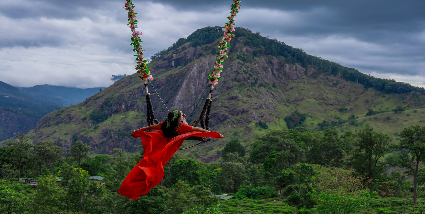 The Path Untaken: A Lonely Sojourn