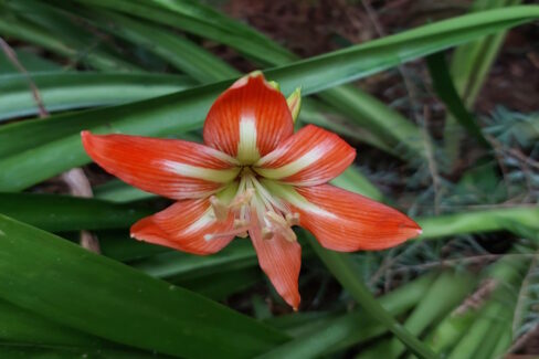 The Signs of the Times